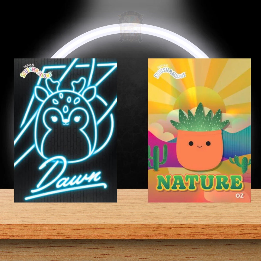 2025 Squishmallows Trading Cards Hobby Mega