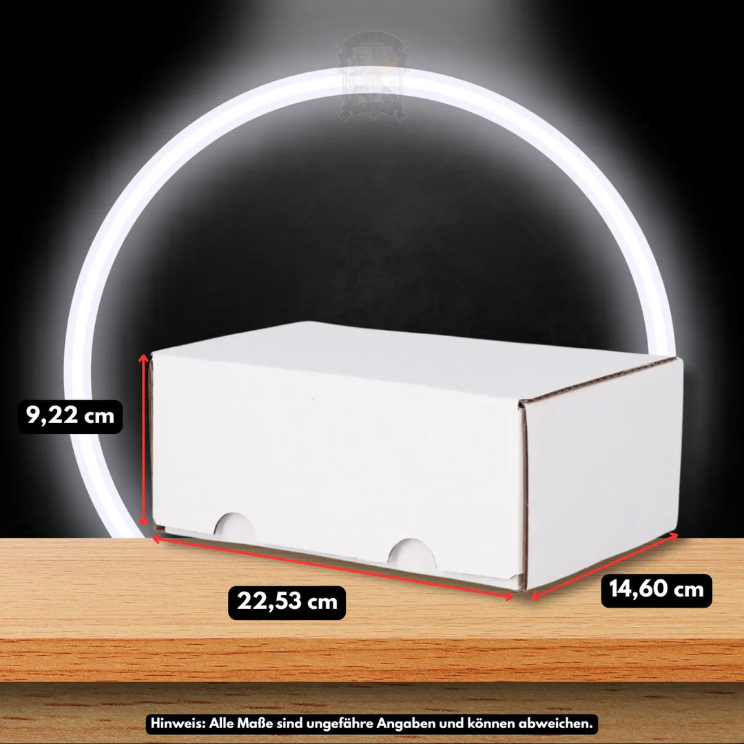 BCW Graded Trading Card Box original verpackt für Sammler