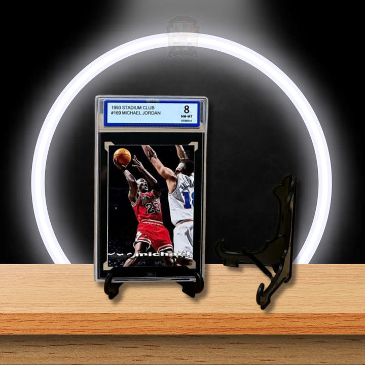 BCW Kartenständer für Sammelkarten, Toploader und Graded Cards